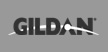Gildan custom t-shirts