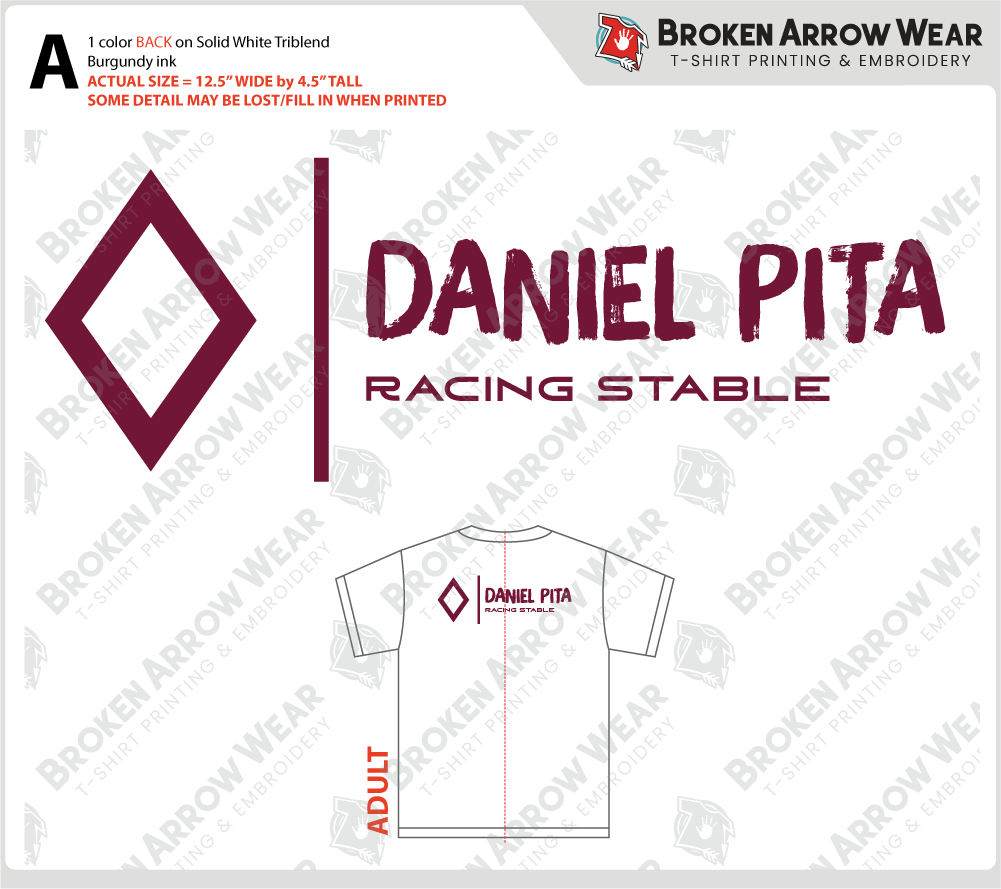 Daniel Pita-304056-Option A